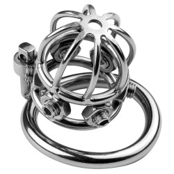 CockLock Cage de chasteté en métal Spike Cock 6 x 3.2cm